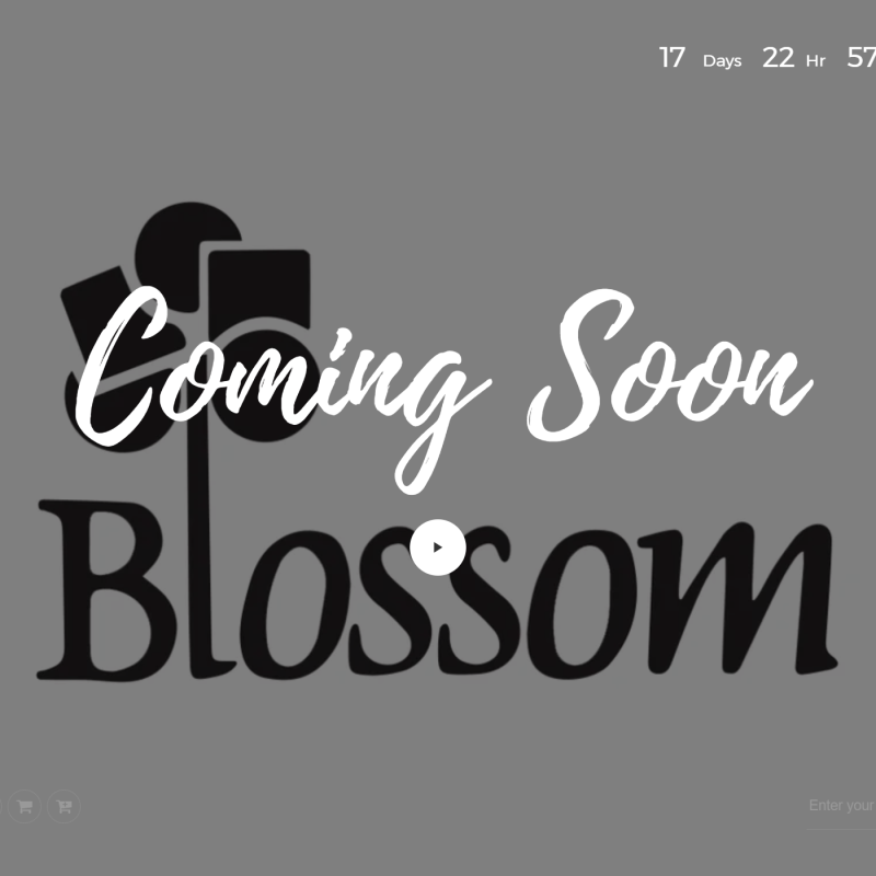BLOSSOM-UNDERCONSTRUCTION